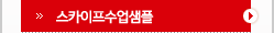 스카이프수업샘플