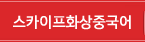 스카이프화상수업