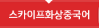 스카이프화상수업
